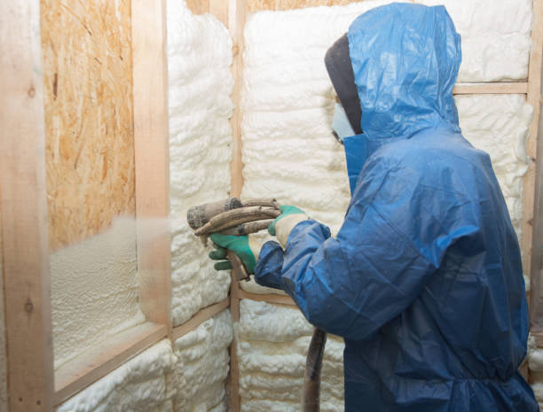 Best Attic Insulation Installation  in Delhi, LA